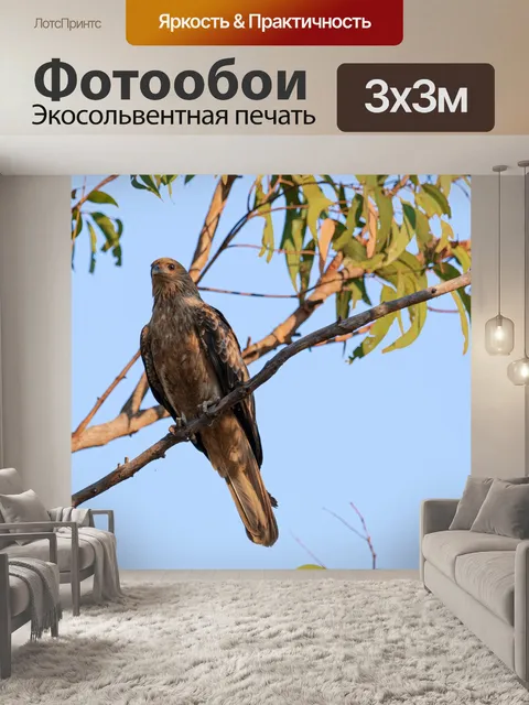 Фотообои Птицы