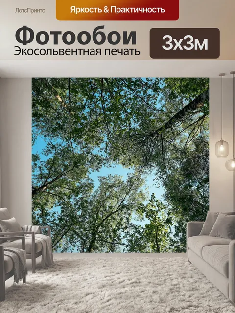 Фотообои Деревья