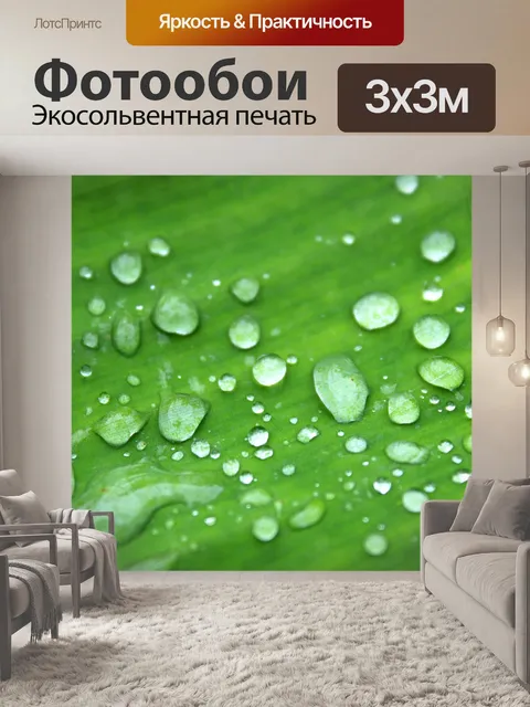 Фотообои Зеленый лист банан