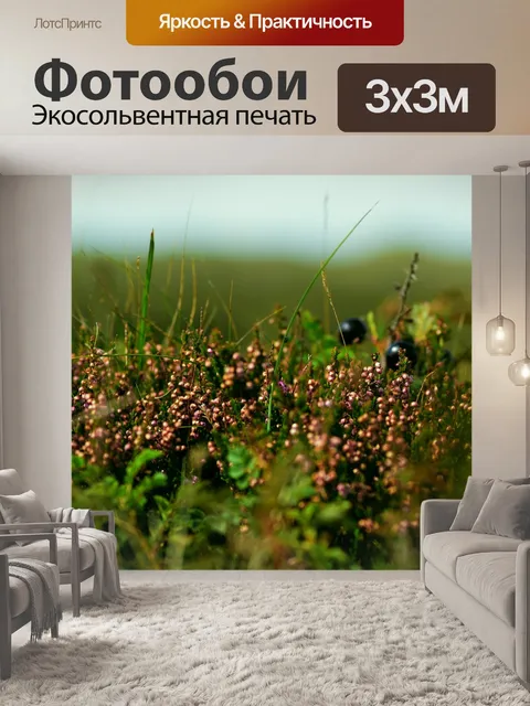 Фотообои Цветы