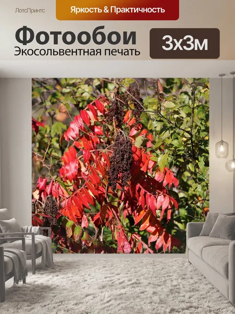 Фотообои Сумакские ягоды осенью