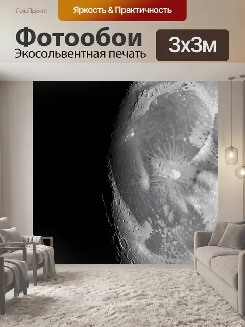 Фотообои Лунный диск на черном небе