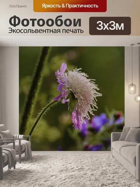Фотообои Цветок