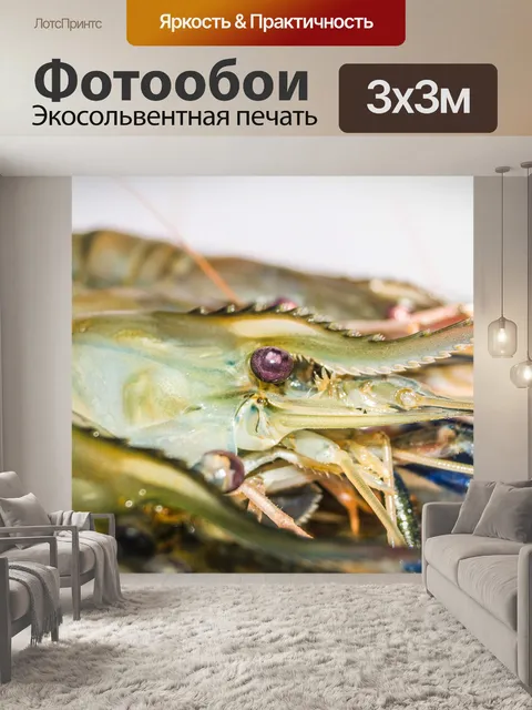 Фотообои Свежие приготовленные креветки фон мореп