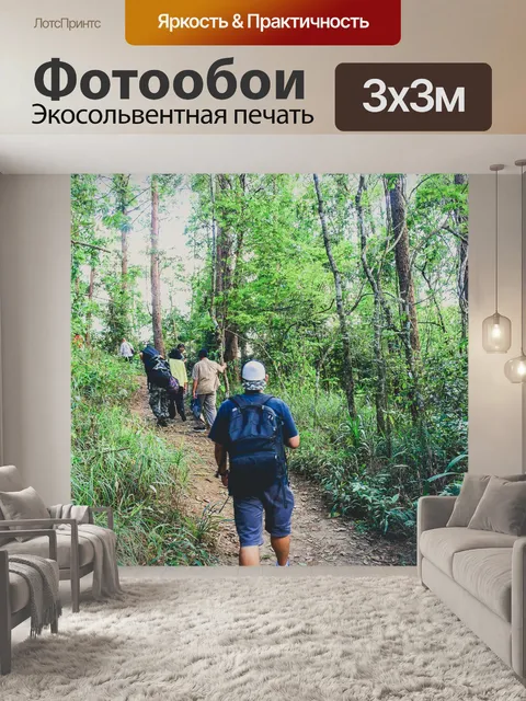 Фотообои Тропинка в садовых джунглях