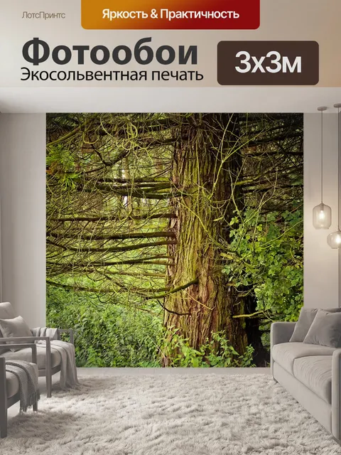 Фотообои Лес