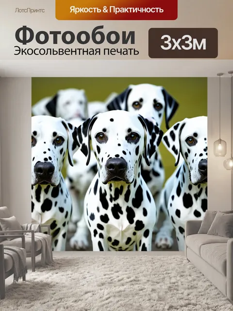 Фотообои Далматинцы, крупный план, белые собаки с черными пятнами, группа животных, плотное расположение…