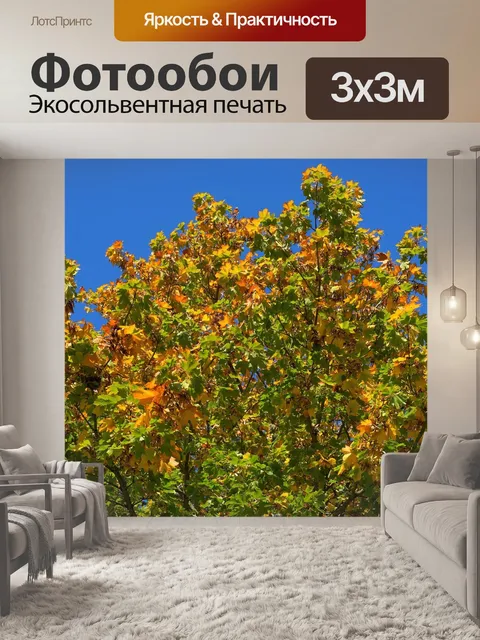 Фотообои Дерево