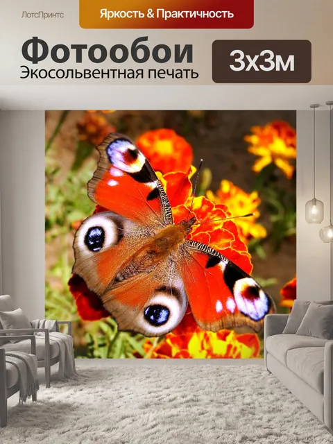 Фотообои Природа
