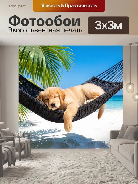 Фотообои Щенок в гамаке на пляже