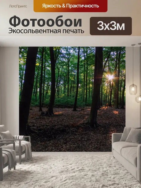 Фотообои Лес