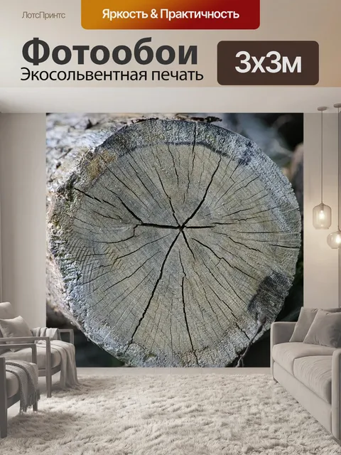 Фотообои Дерево