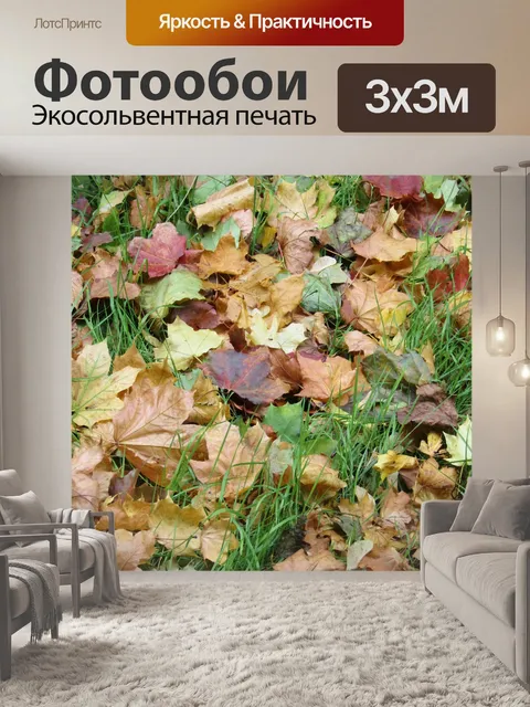 Фотообои Осенние листья