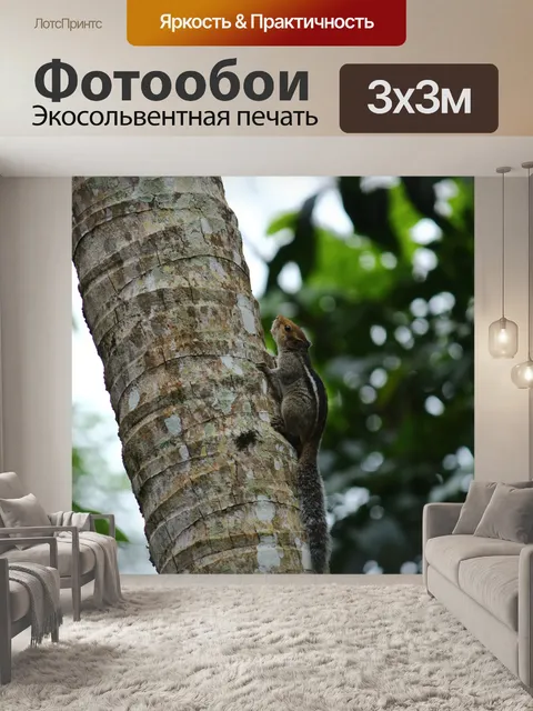 Фотообои Белка