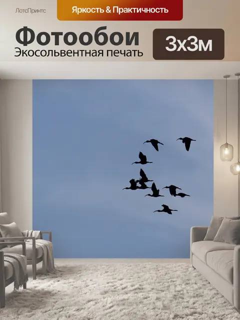 Фотообои Птицы
