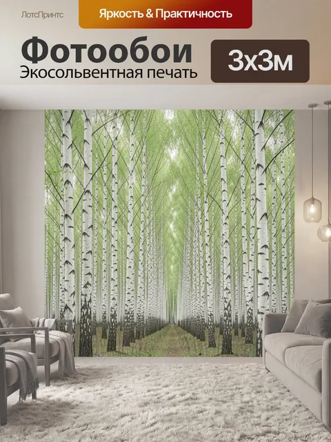 Фотообои Берёзовая аллея весной