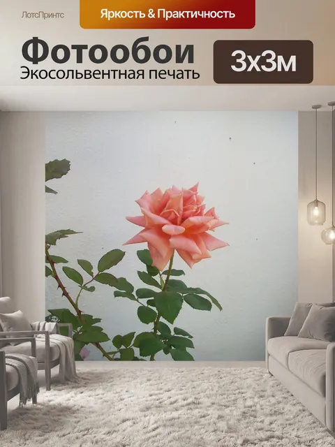 Фотообои Роуз