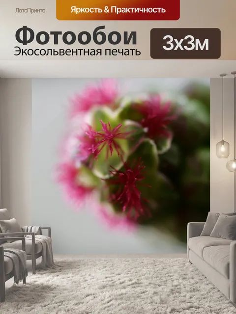 Фотообои Макрос