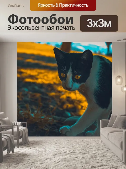 Фотообои Кошка