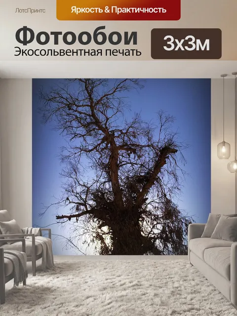 Фотообои Дерево