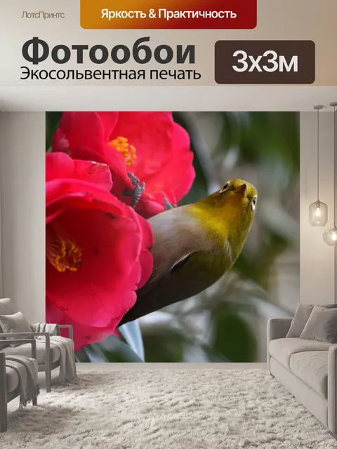 Фотообои Цветы