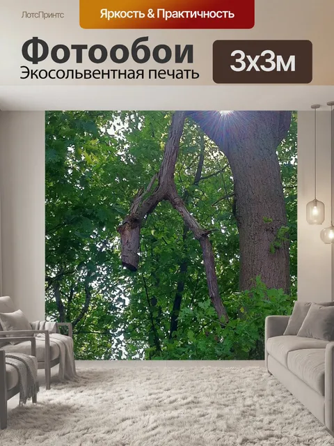 Фотообои Лес