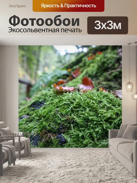 Фотообои Мох