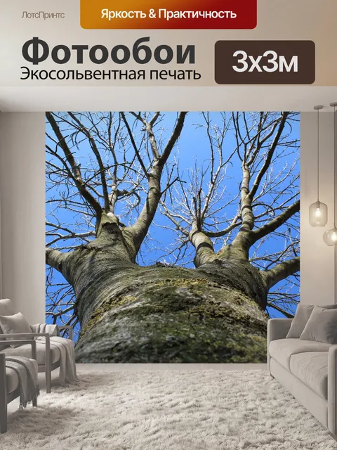 Фотообои Дерево