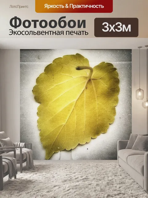 Фотообои Лист