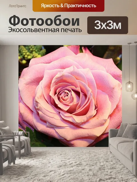 Фотообои Роза