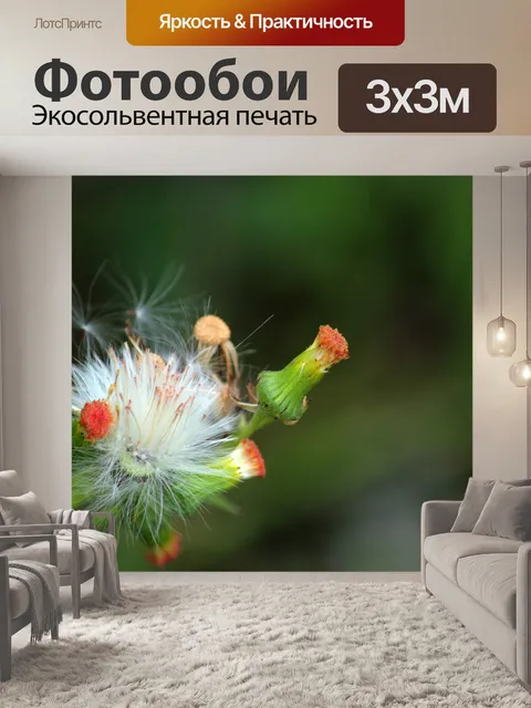 Фотообои одуванчик