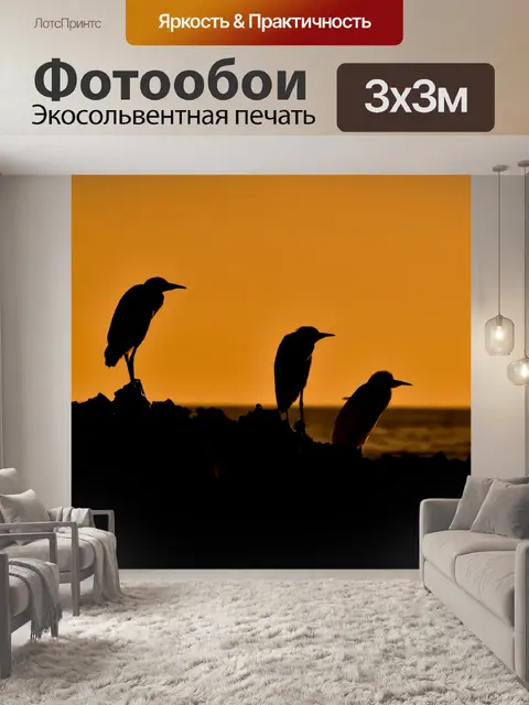 Фотообои Морские птицы