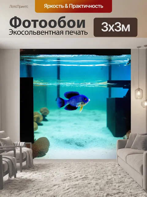 Фотообои аквариум в стиле минимализма, с несколькими строгими линиями и геометрическими формами стенок