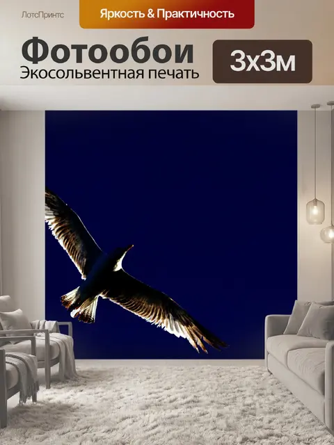 Фотообои Птица