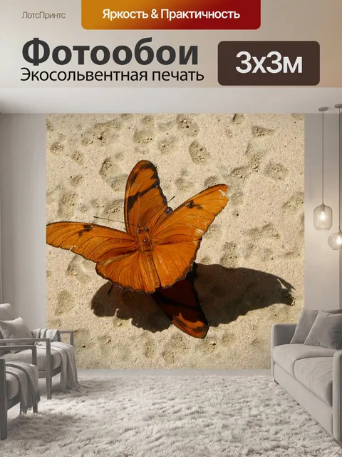 Фотообои Спаривание бабочки