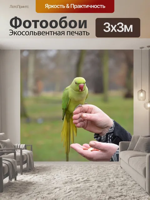 Фотообои Птица