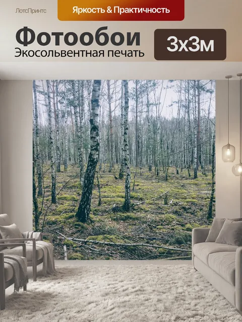 Фотообои Германия