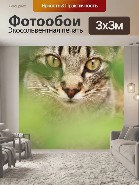 Фотообои Кошка