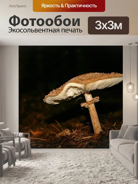 Фотообои Гриб
