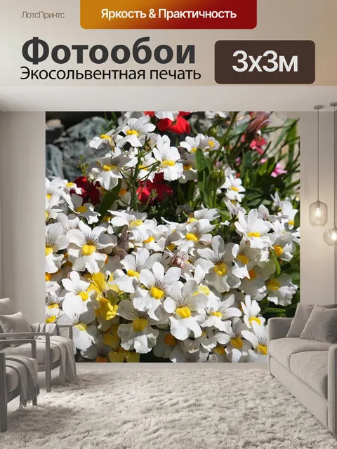 Фотообои Цветы