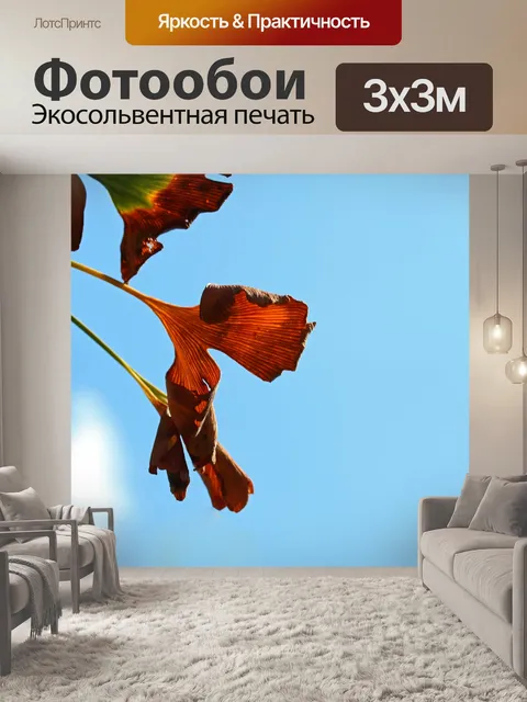 Фотообои изменение листьев гинкго билоба