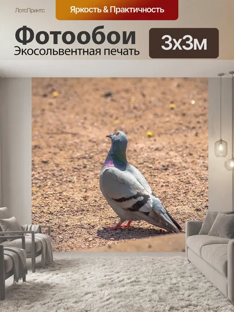 Фотообои Птица