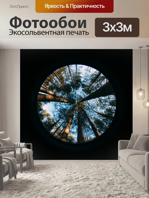 Фотообои Лес