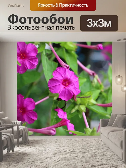 Фотообои Флора