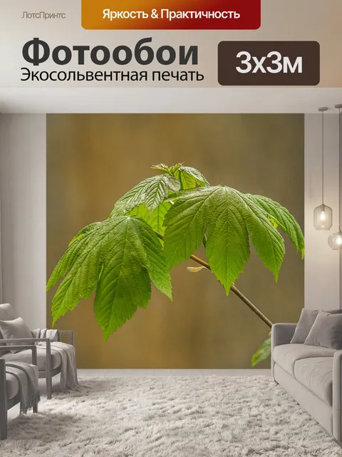 Фотообои Листья
