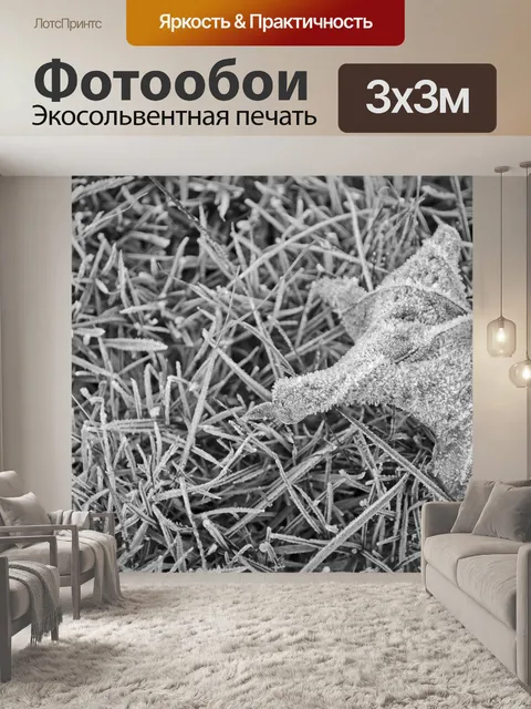 Фотообои Замороженные листья на траве
