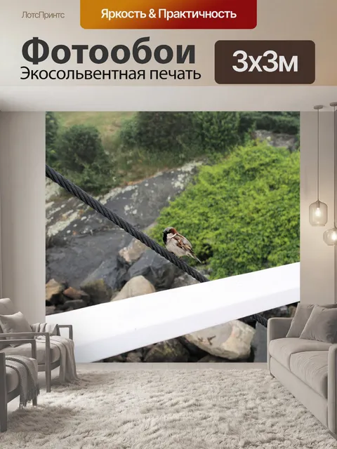 Фотообои Птица на проводе