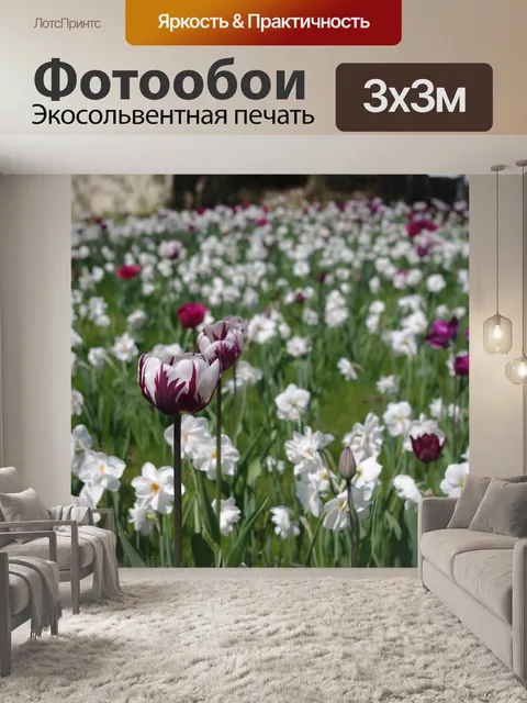 Фотообои Тюльпаны