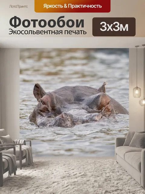 Фотообои Бегемот