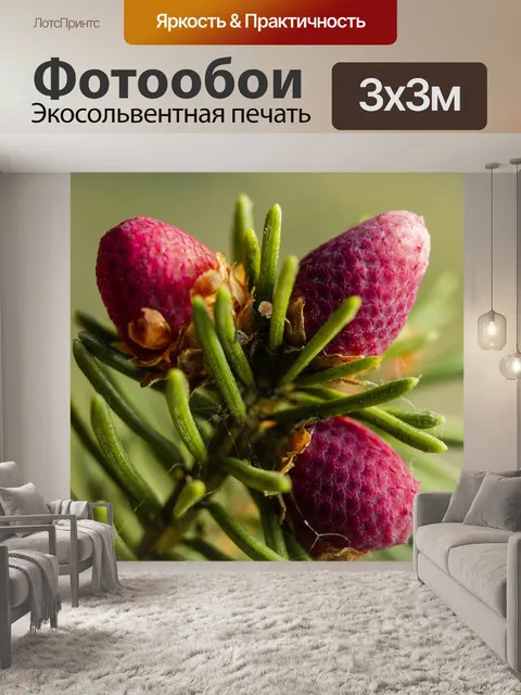 Фотообои Сосна